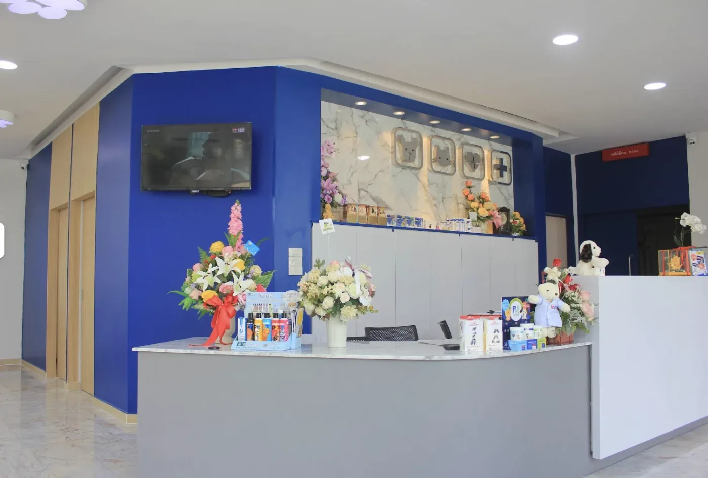 โรงพยาบาลสัตว์เว็ทวิลล์ Vetville Pet Hospital คลินิก-โรงพยาบาลสัตว์ กรุงเทพมหานคร 6