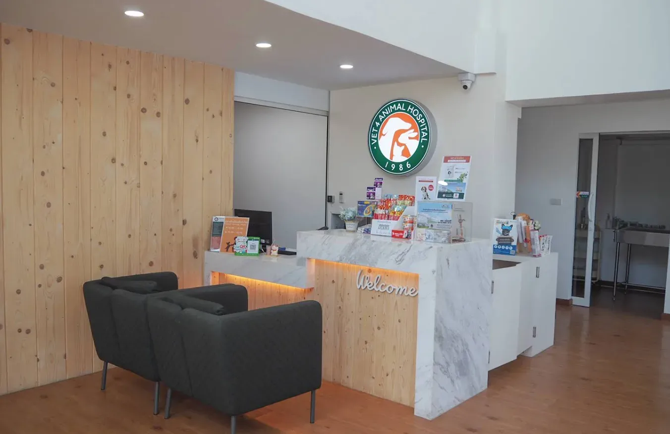 โรงพยาบาลสัตว์ สัตวแพทย์ 4 คลินิก-โรงพยาบาลสัตว์ กรุงเทพมหานคร 2