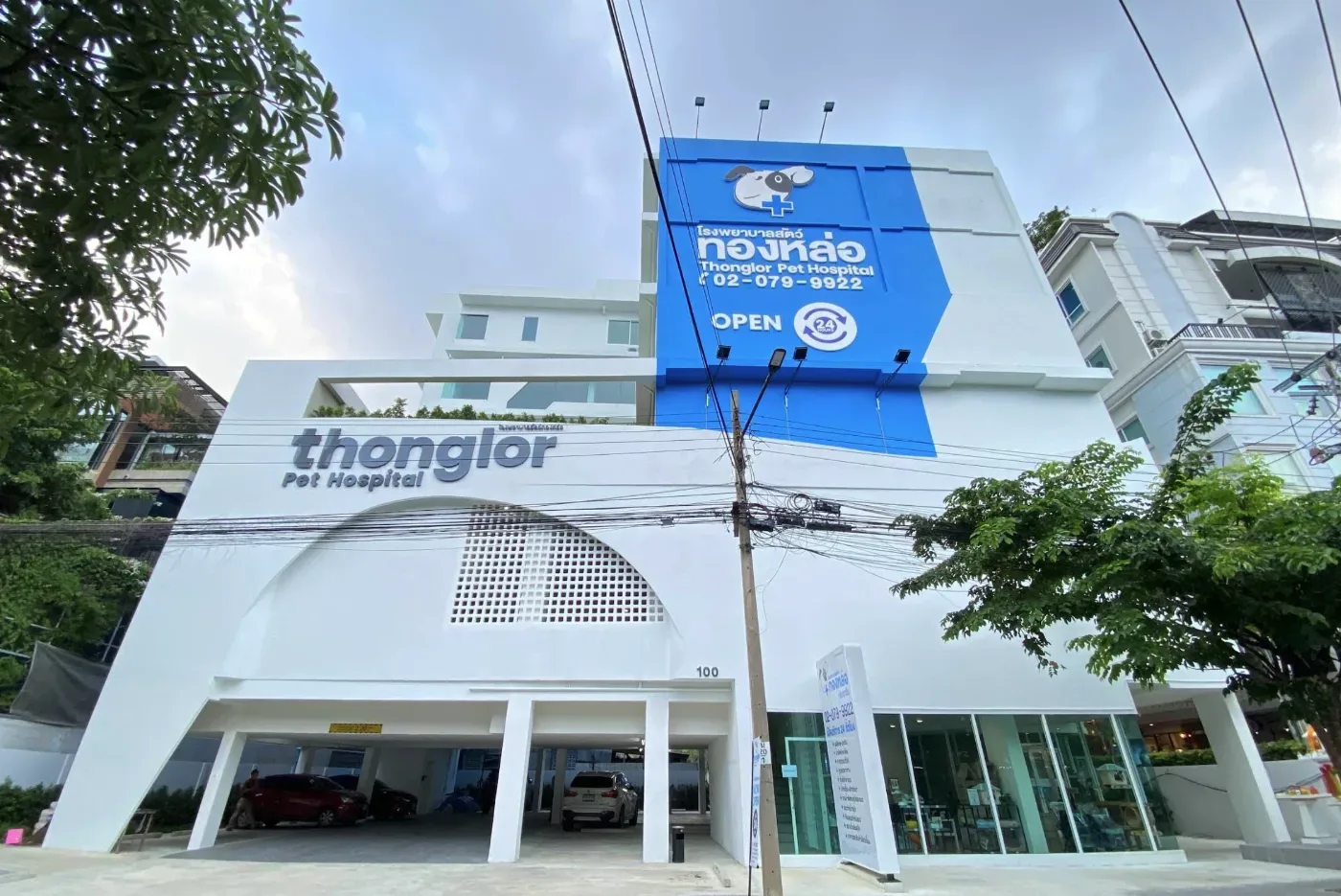 Thonglor Pet Hospital Prachachuen โรงพยาบาลสัตว์ทองหล่อ ประชาชื่น คลินิก-โรงพยาบาลสัตว์ กรุงเทพมหานคร 3