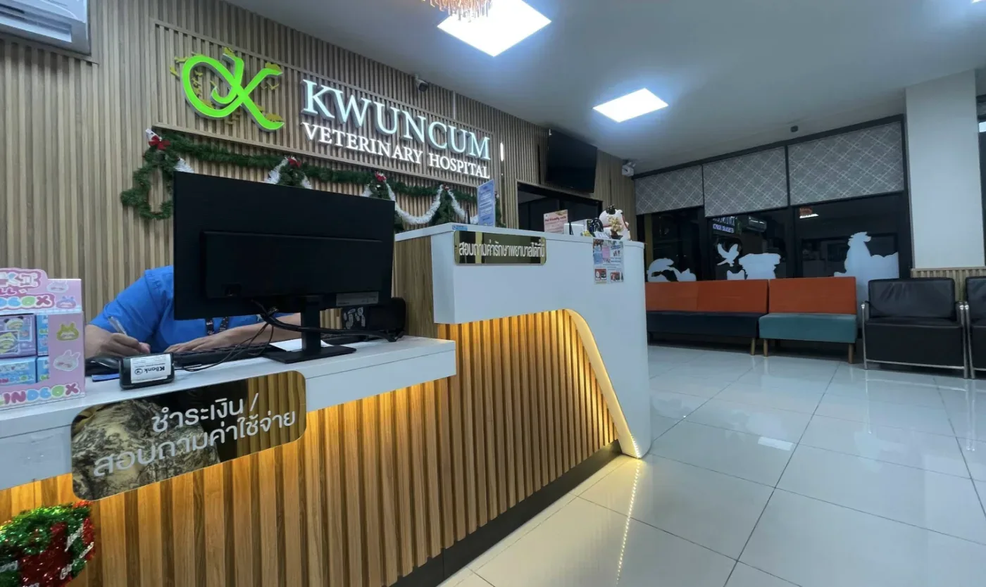 โรงพยาบาลสัตว์ขวัญคำ คลินิก-โรงพยาบาลสัตว์ กรุงเทพมหานคร