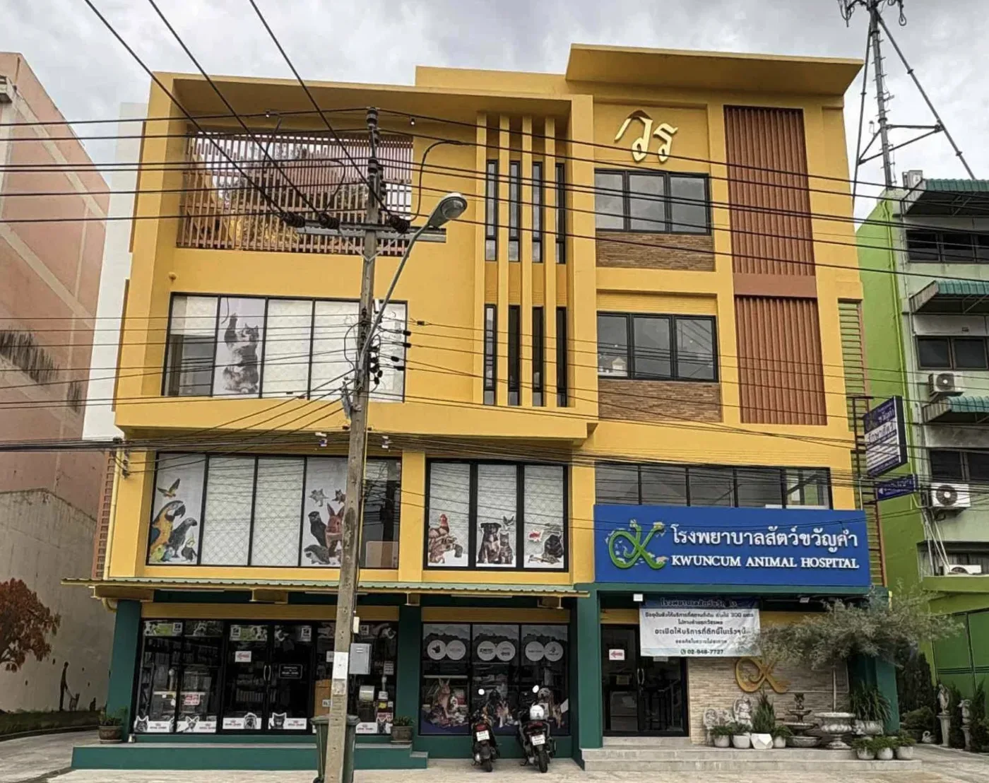 โรงพยาบาลสัตว์ขวัญคำ คลินิก-โรงพยาบาลสัตว์ กรุงเทพมหานคร 2