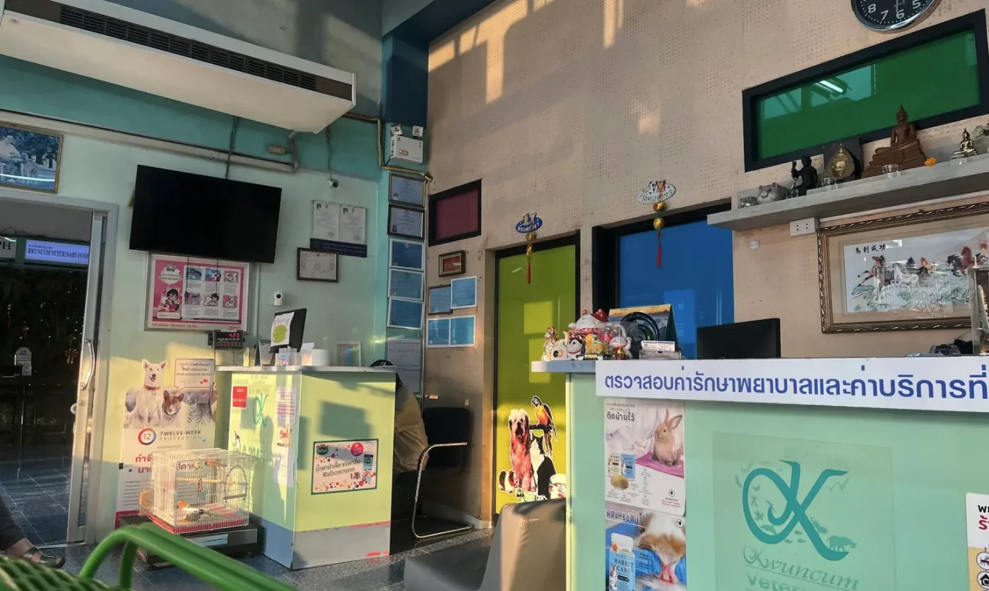 โรงพยาบาลสัตว์ขวัญคำ คลินิก-โรงพยาบาลสัตว์ กรุงเทพมหานคร 3