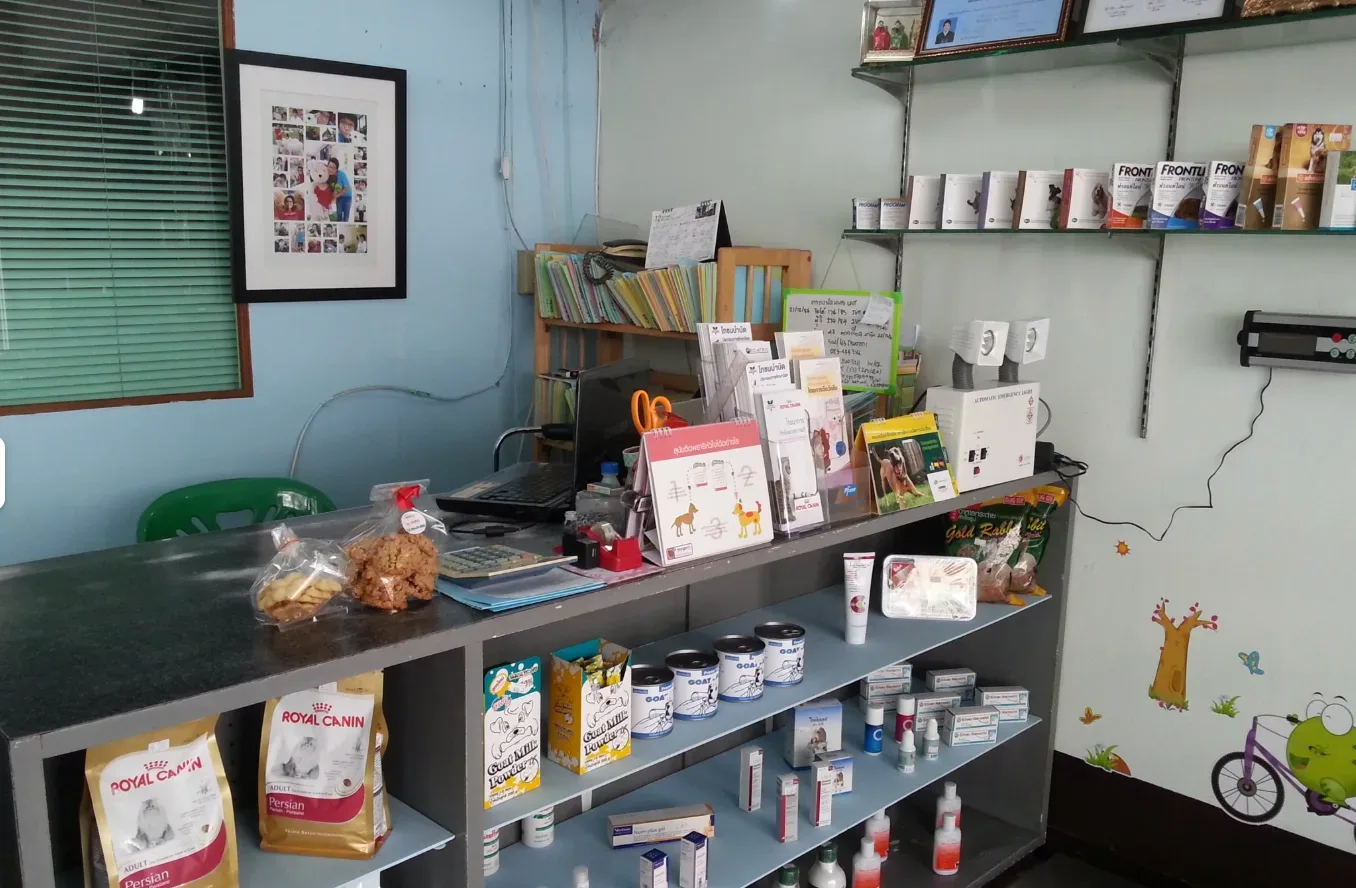 คลินิกรักษาสัตว์ประชาอุทิศ ดอนเมือง PD Pet Clinic คลินิก-โรงพยาบาลสัตว์ กรุงเทพมหานคร 4