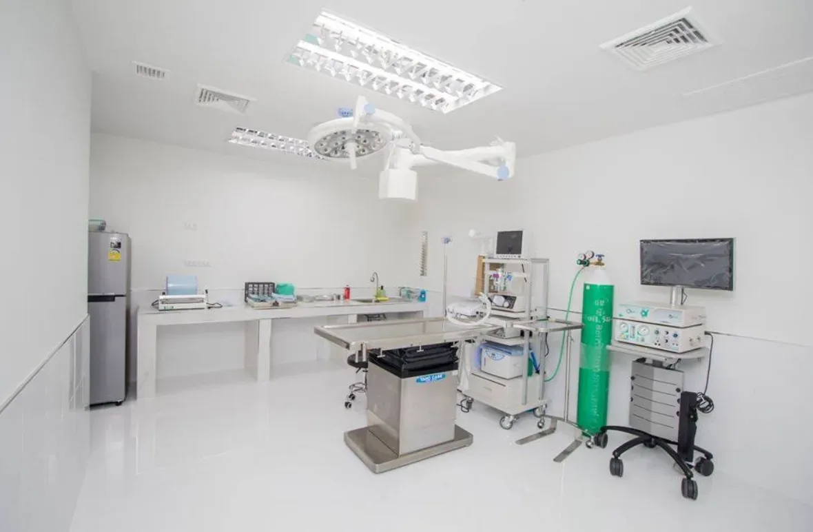 โรงพยาบาลสัตว์ ทรี ดี เพ็ท | 3D Pet Hospital & Hotel คลินิก-โรงพยาบาลสัตว์ กรุงเทพมหานคร 2