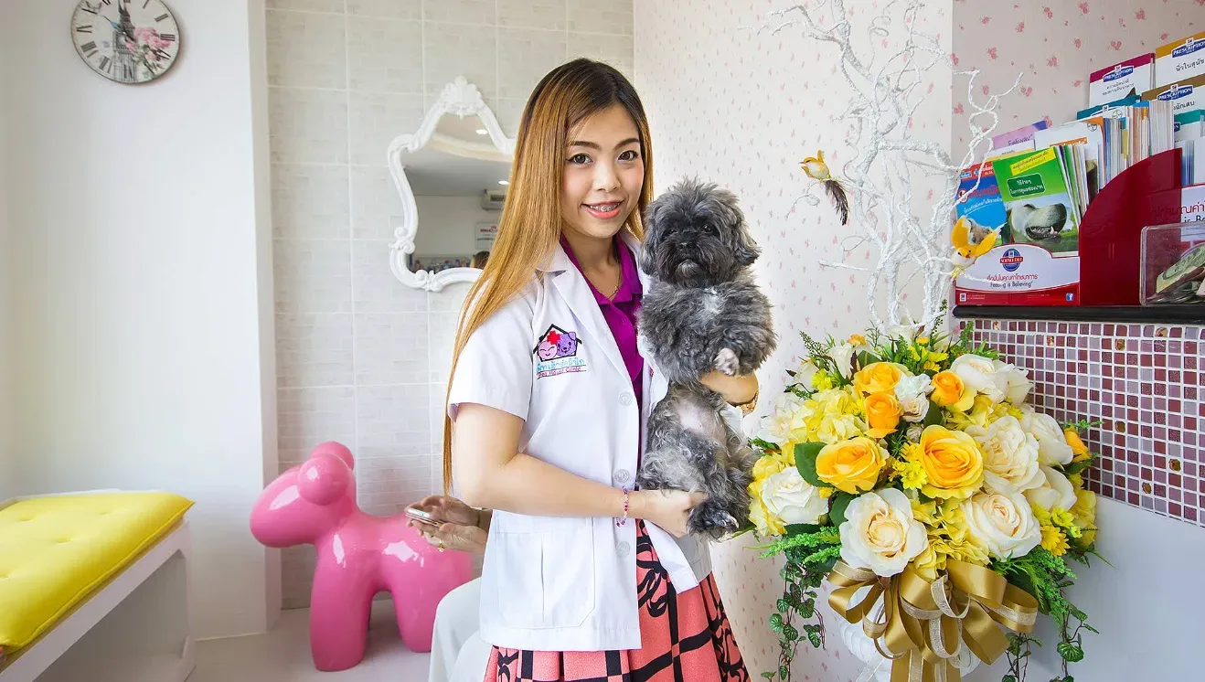 โรงพยาบาลสัตว์เพ็ทเฮ้าส์ 24 ชั่วโมง