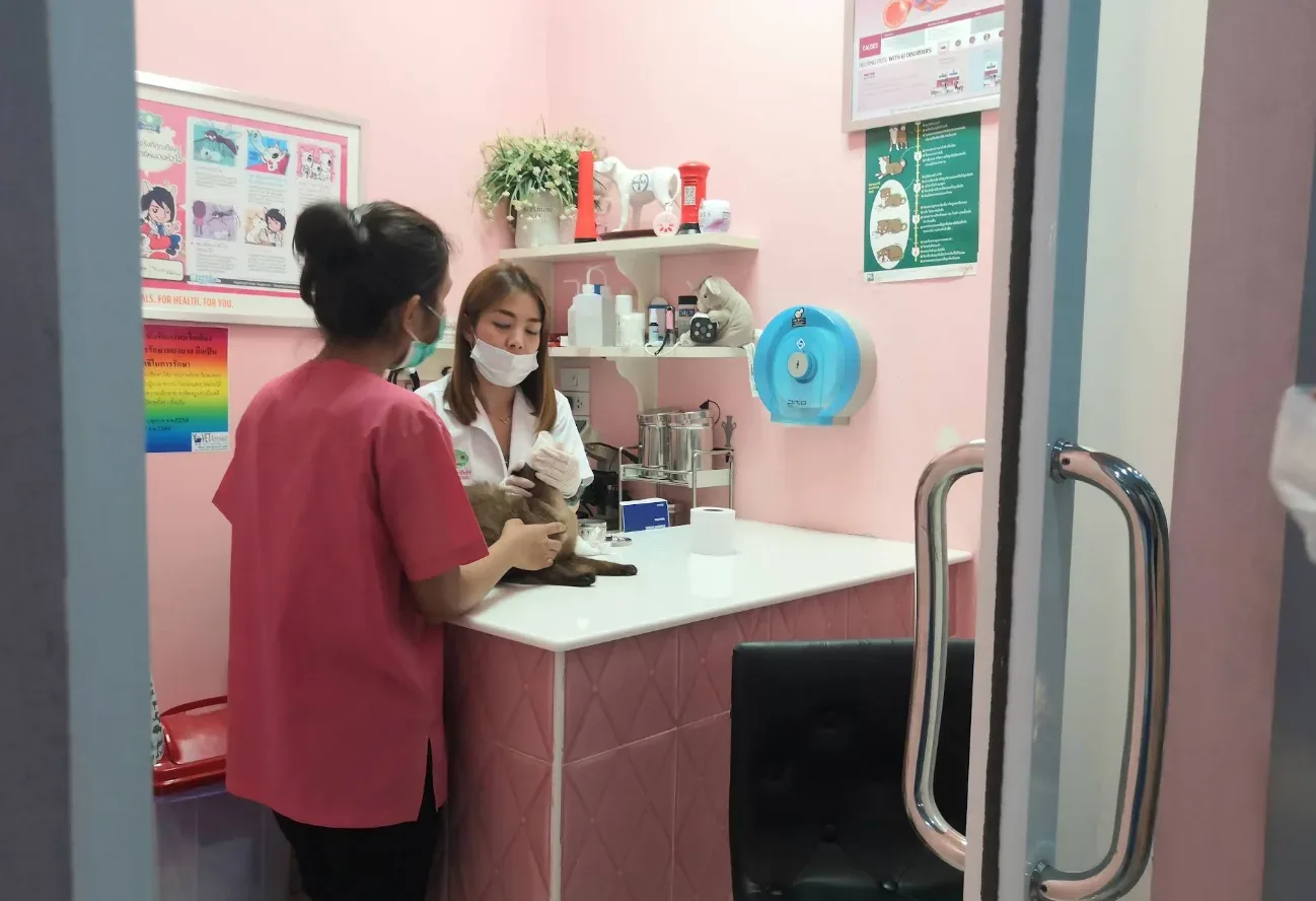 โรงพยาบาลสัตว์เพ็ทเฮ้าส์ 24 ชั่วโมง คลินิก-โรงพยาบาลสัตว์ กรุงเทพมหานคร 4