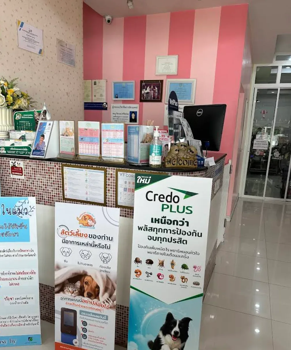 โรงพยาบาลสัตว์เพ็ทเฮ้าส์ 24 ชั่วโมง คลินิก-โรงพยาบาลสัตว์ กรุงเทพมหานคร 6