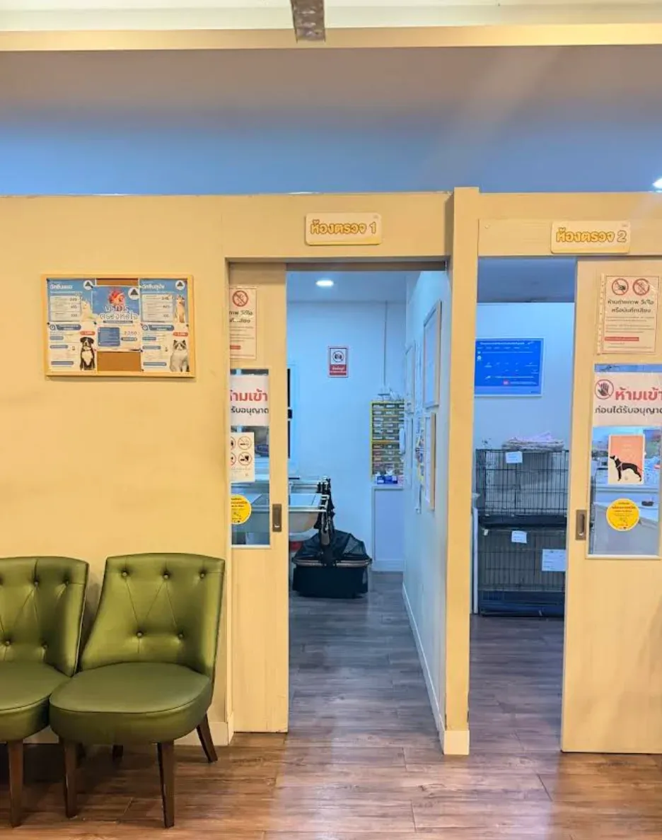 โรงพยาบาลสัตว์ คลองสามวา เปิดบริการ 24 ชั่วโมง คลินิก-โรงพยาบาลสัตว์ กรุงเทพมหานคร 4