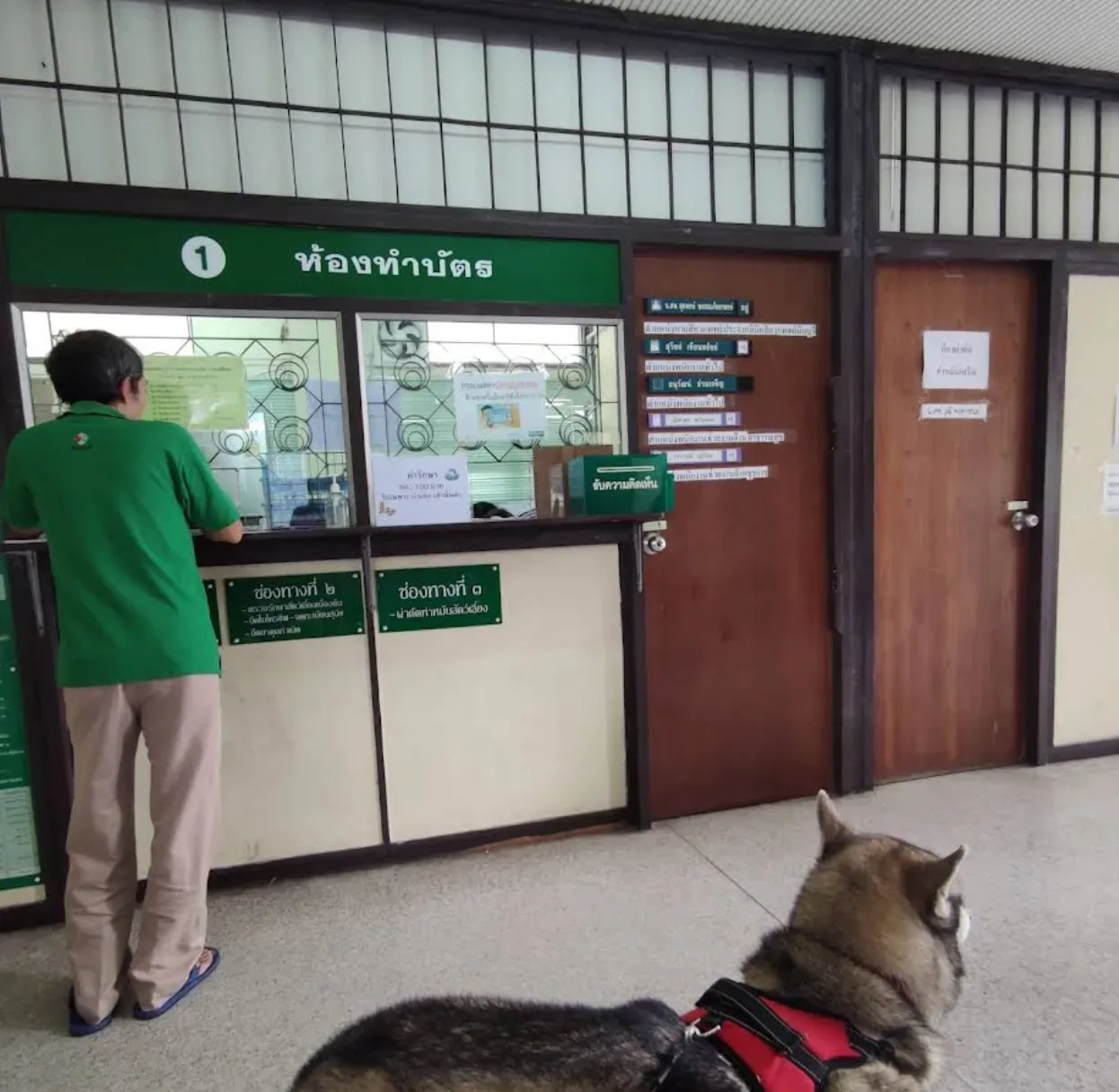 คลินิกสัตวแพทย์กทม2มีนบุรี คลินิก-โรงพยาบาลสัตว์ กรุงเทพมหานคร 5