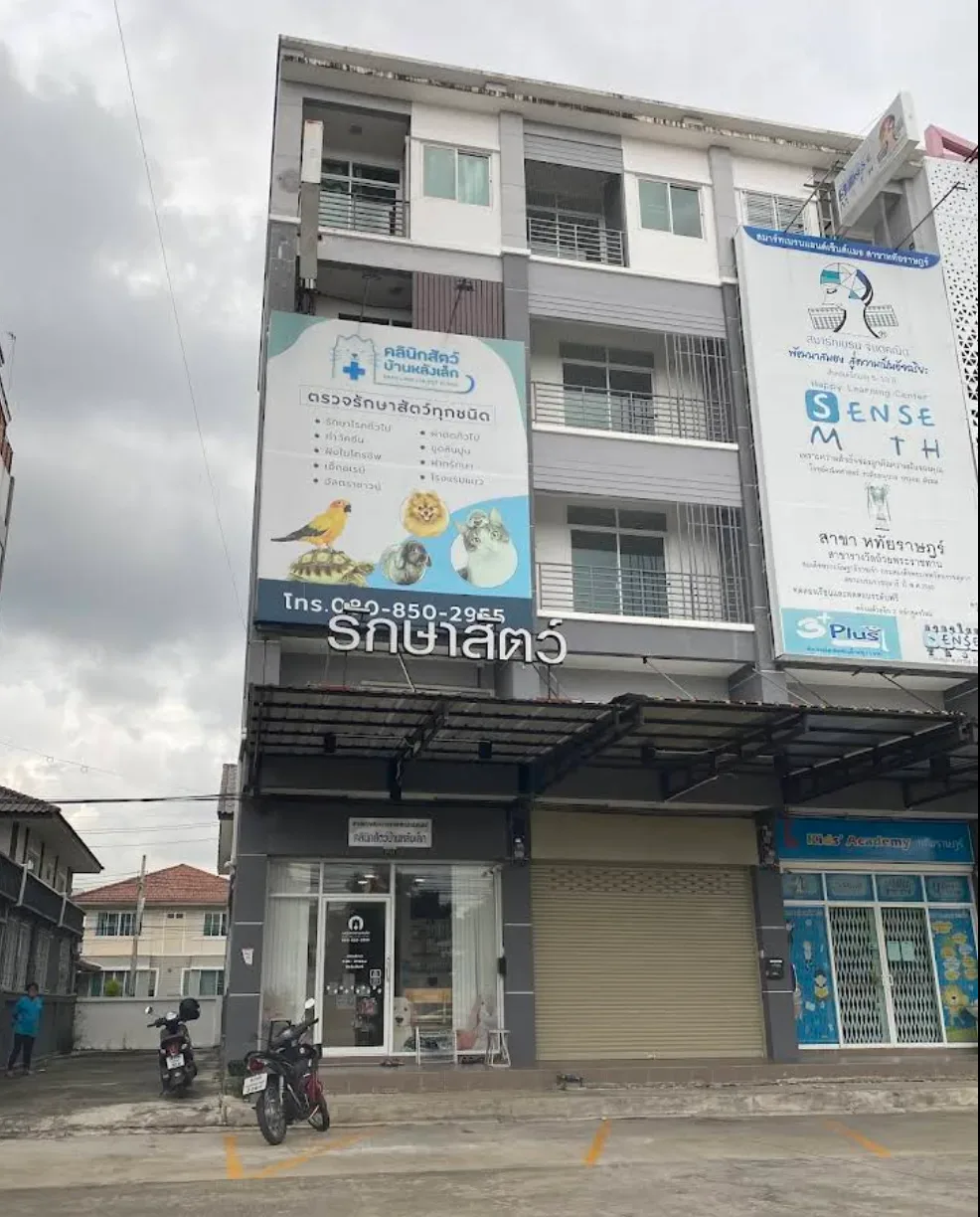 คลินิกสัตว์บ้านหลังเล็ก Baan Lang Lek Pet Clinic & Hotel คลินิก-โรงพยาบาลสัตว์ กรุงเทพมหานคร 3