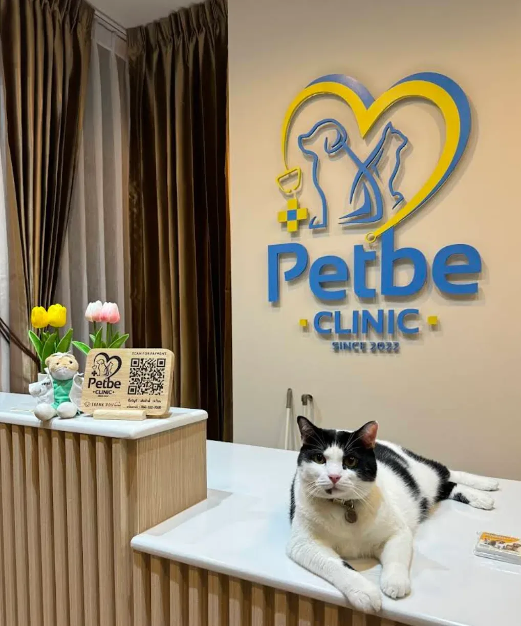 Petbe Clinic เพ็ทบีคลินิกรักษาสัตว์ คลินิก-โรงพยาบาลสัตว์ กรุงเทพมหานคร