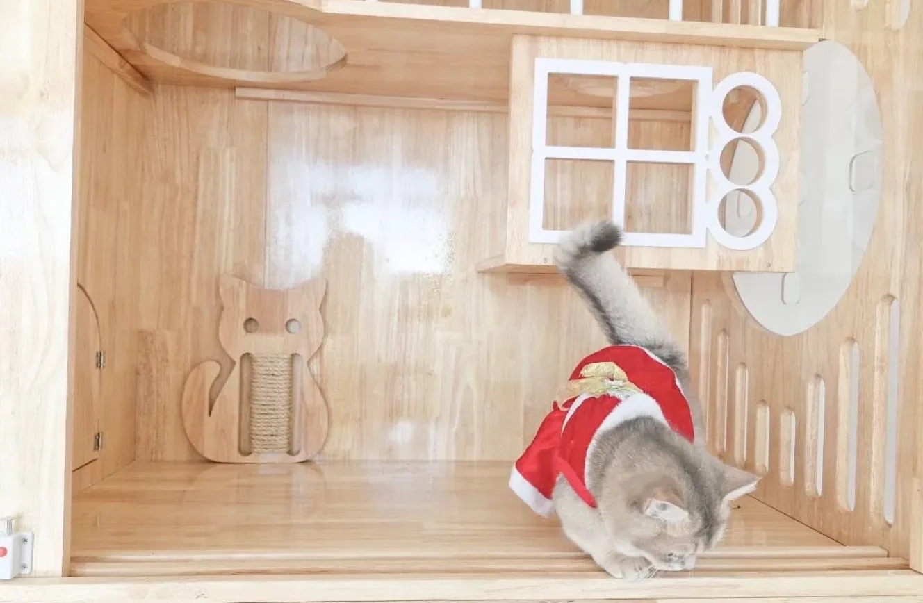 โรงพยาบาลสัตว์ดิเอมเบรส 24 ชั่วโมง – The Embrace Animal Hospital คลินิก-โรงพยาบาลสัตว์ กรุงเทพมหานคร 6