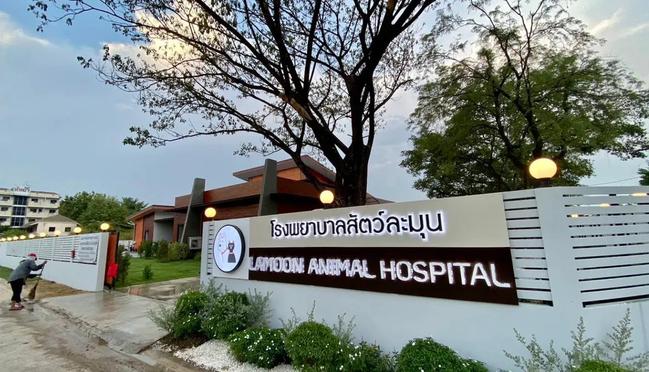 โรงพยาบาลสัตว์ละมุน คลินิก-โรงพยาบาลสัตว์ กรุงเทพมหานคร