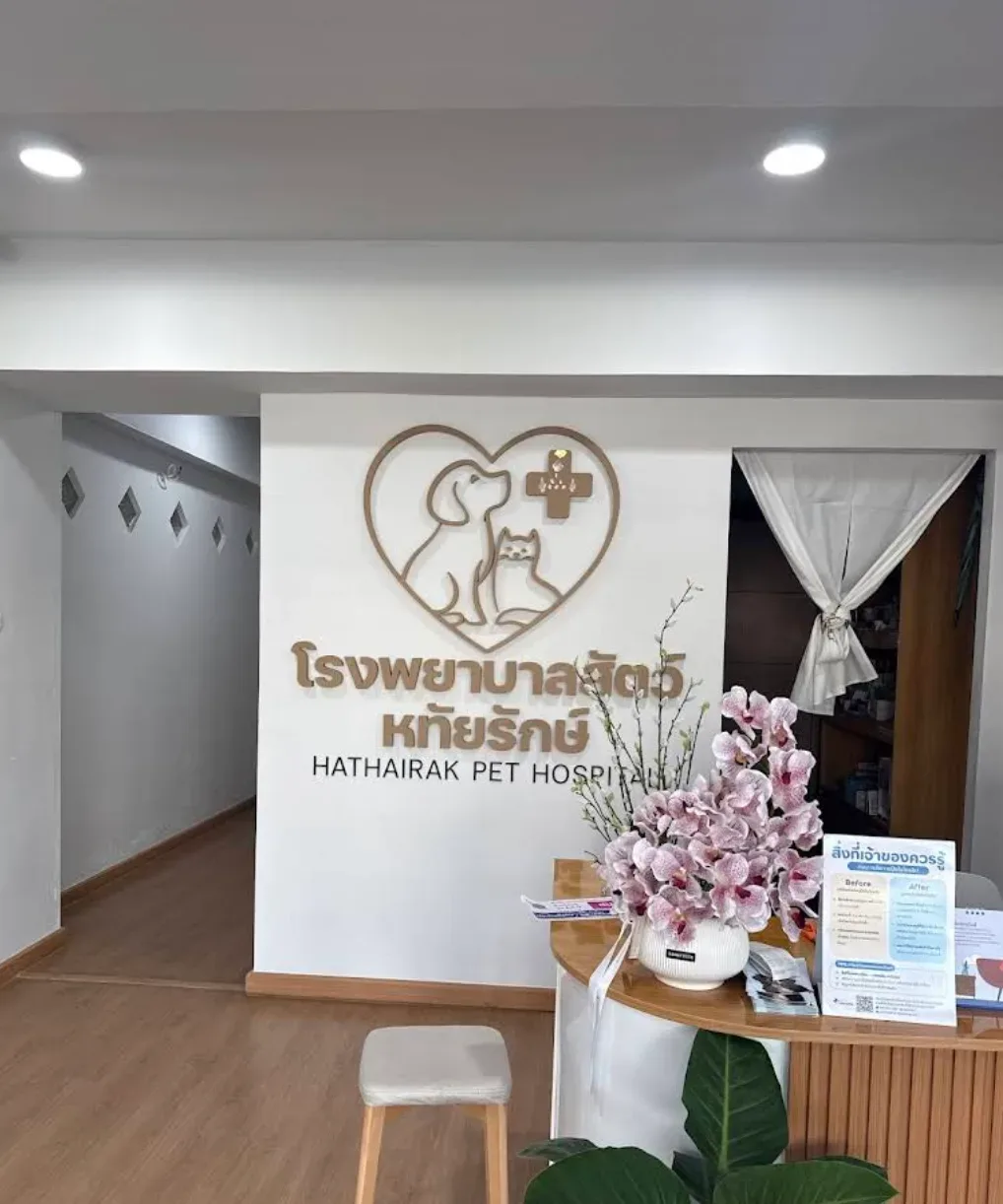 โรงพยาบาลสัตว์หทัยรักษ์ คลินิก-โรงพยาบาลสัตว์ กรุงเทพมหานคร 4