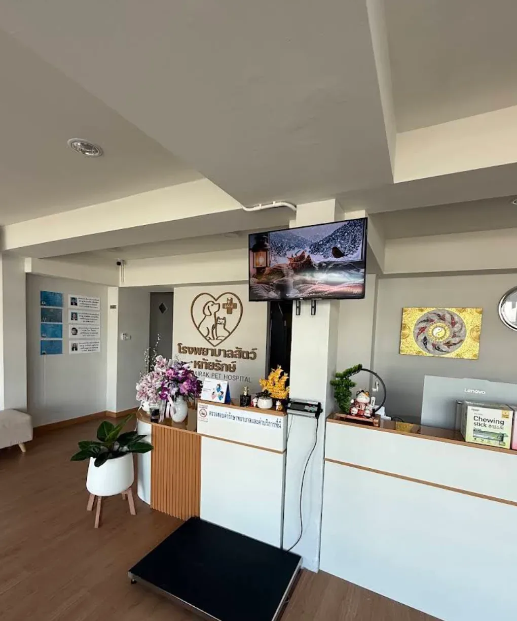 โรงพยาบาลสัตว์หทัยรักษ์ คลินิก-โรงพยาบาลสัตว์ กรุงเทพมหานคร 5