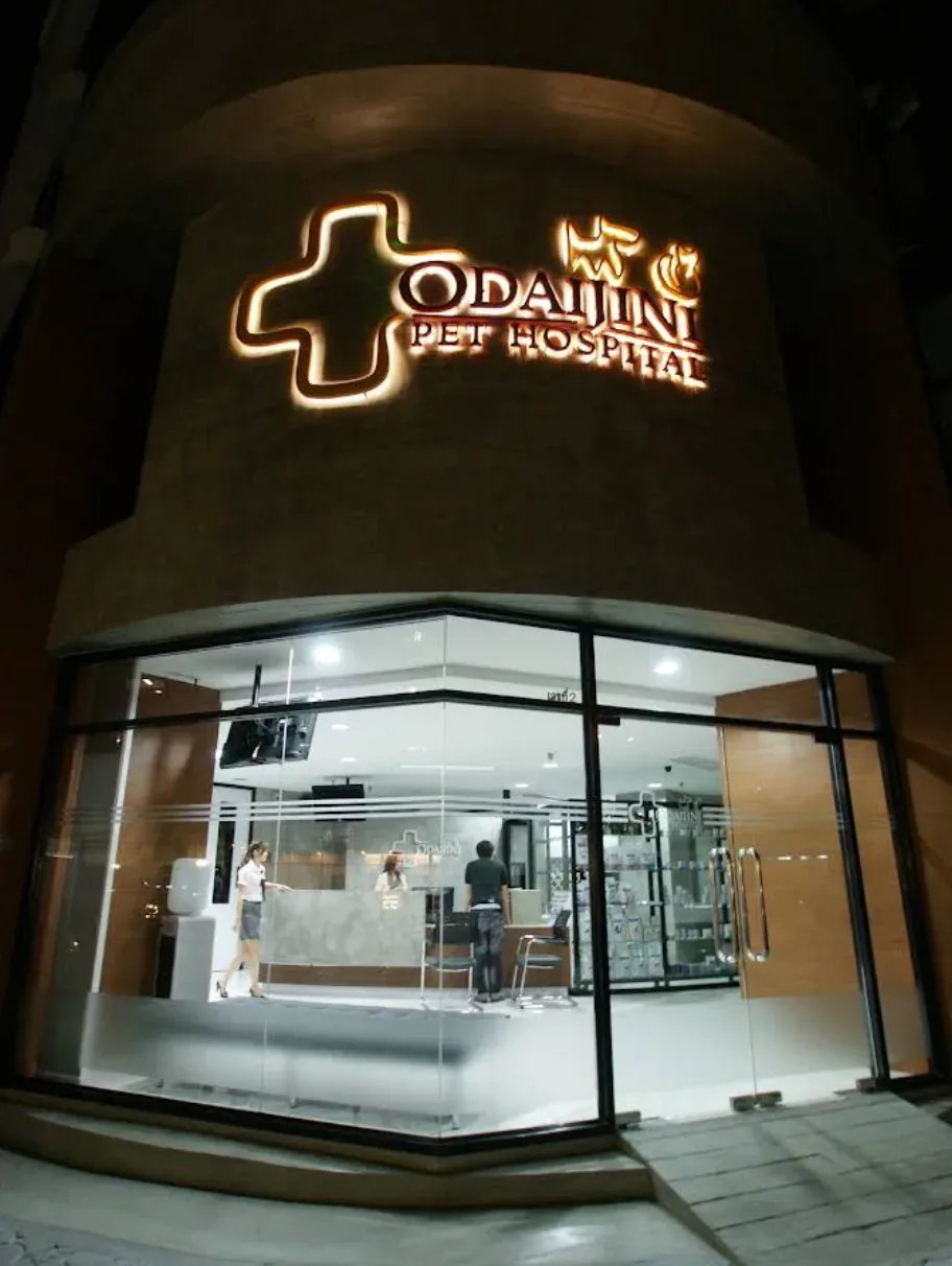 รพ.สัตว์โอะไดจินิ สาขารามอินทรา (Odaijini Pet Hospital Ramintra Branch) เปิดให้บริการ 24 ชม. คลินิก-โรงพยาบาลสัตว์ กรุงเทพมหานคร 2