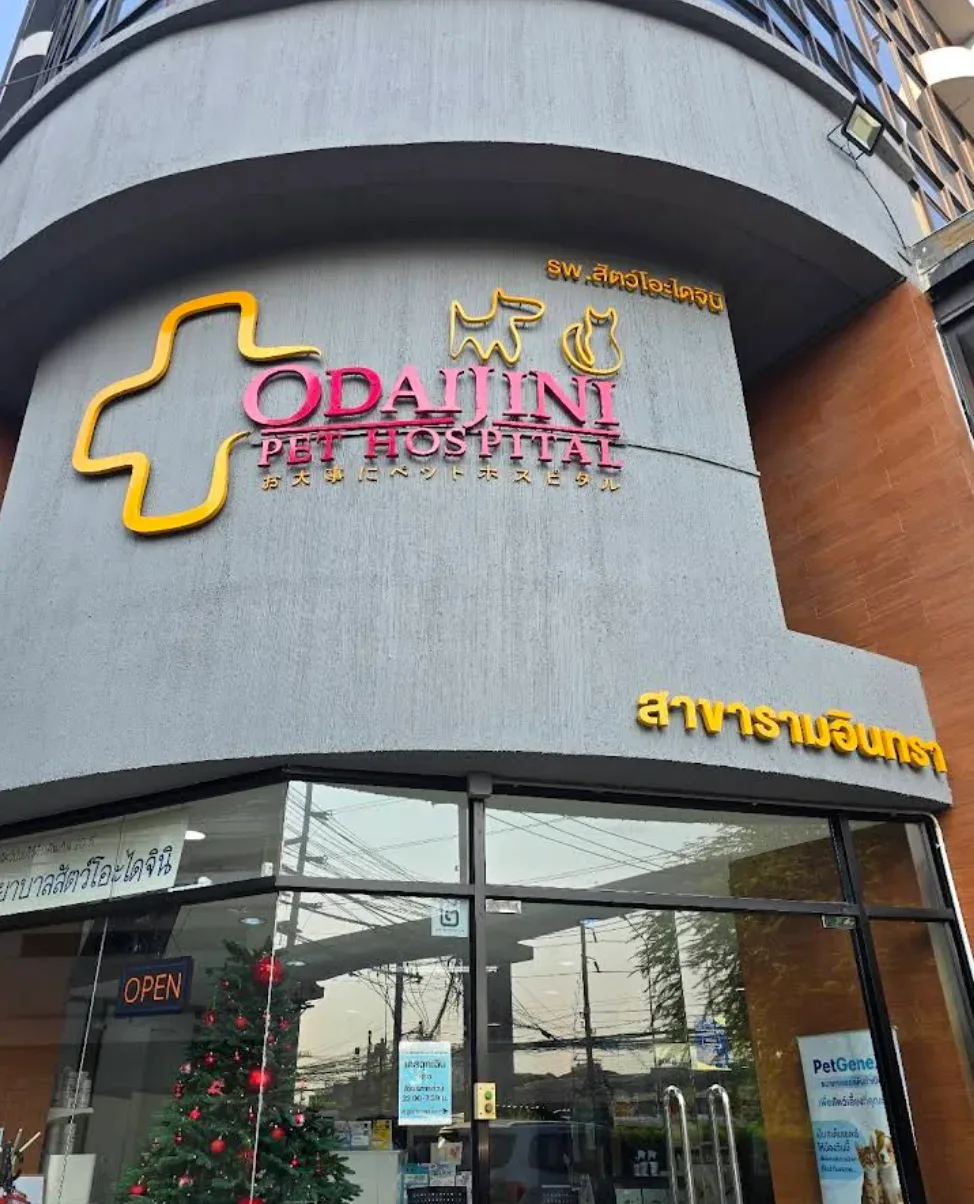 รพ.สัตว์โอะไดจินิ สาขารามอินทรา (Odaijini Pet Hospital Ramintra Branch) เปิดให้บริการ 24 ชม. คลินิก-โรงพยาบาลสัตว์ กรุงเทพมหานคร 4