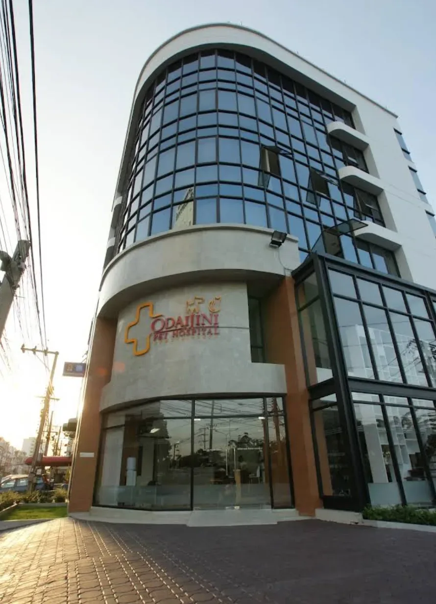 รพ.สัตว์โอะไดจินิ สาขารามอินทรา (Odaijini Pet Hospital Ramintra Branch) เปิดให้บริการ 24 ชม. คลินิก-โรงพยาบาลสัตว์ กรุงเทพมหานคร 5