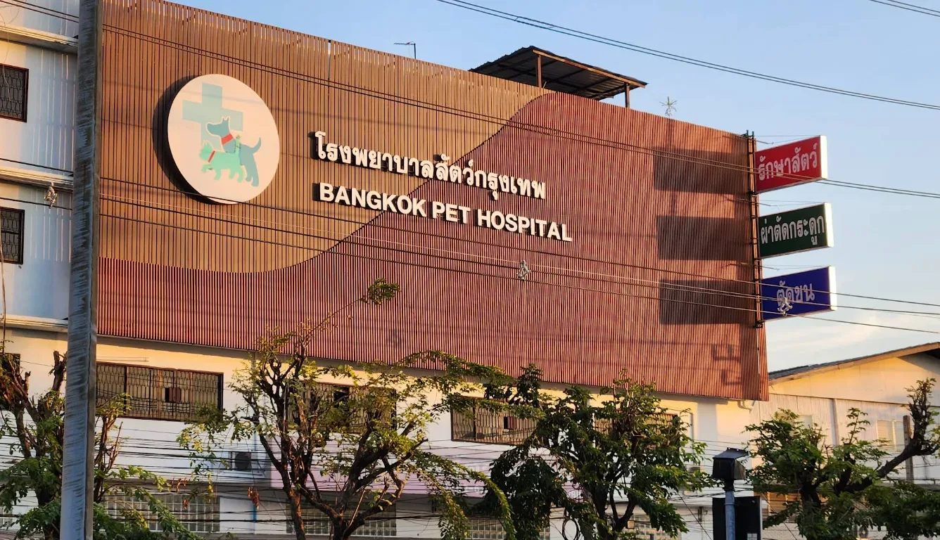 โรงพยาบาลสัตว์กรุงเทพ คลินิก-โรงพยาบาลสัตว์ กรุงเทพมหานคร