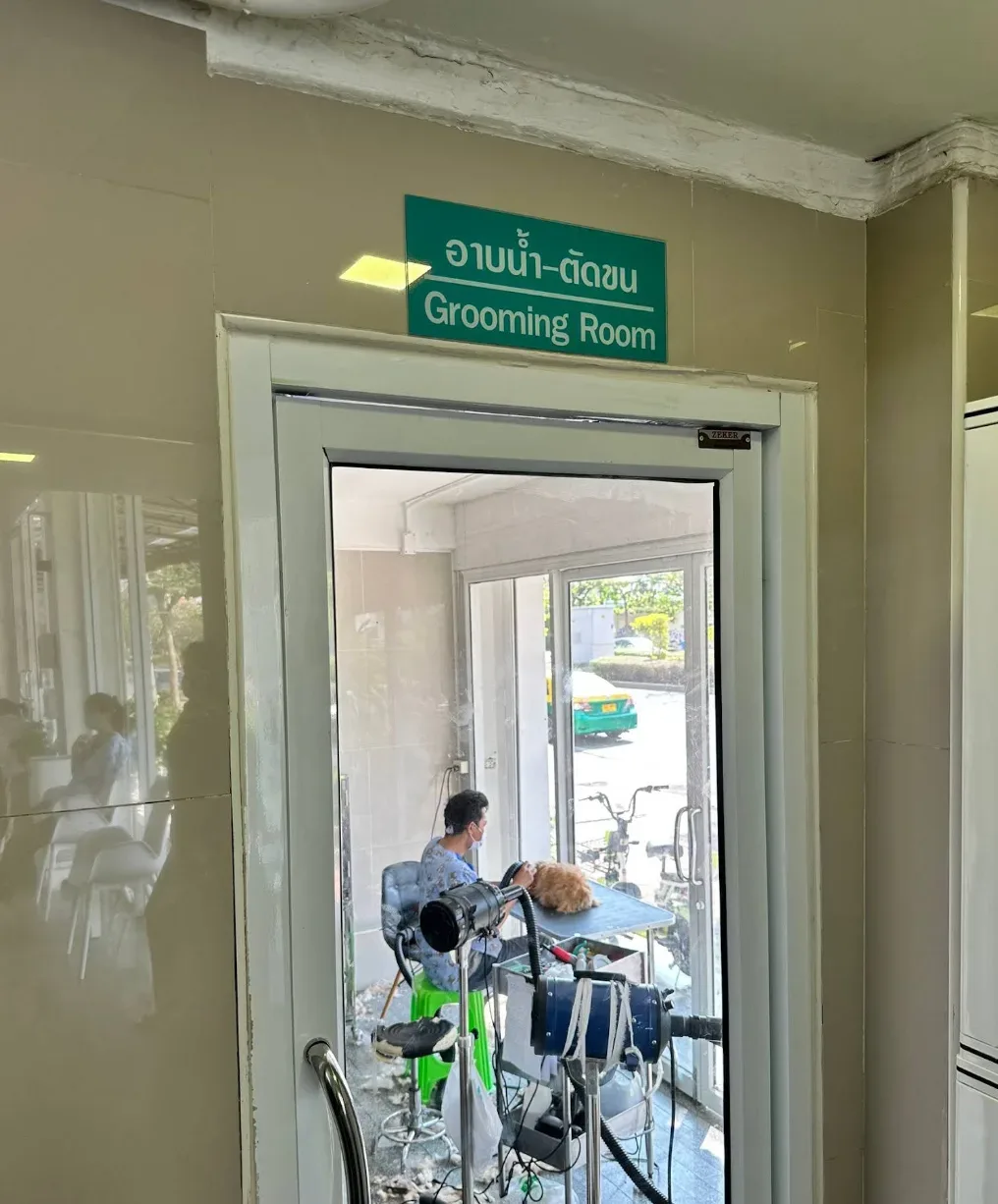 โรงพยาบาลสัตว์กรุงเทพ คลินิก-โรงพยาบาลสัตว์ กรุงเทพมหานคร 6