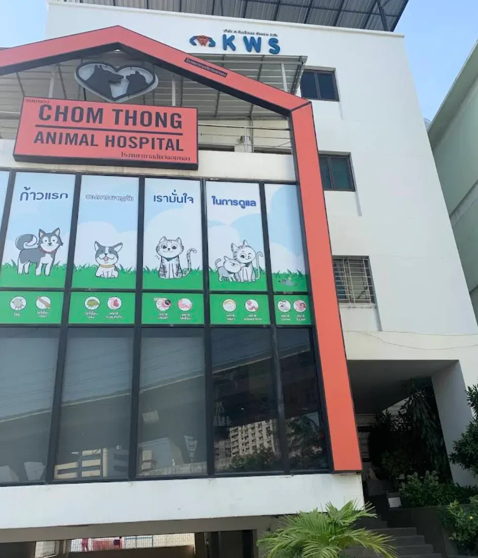 โรงพยาบาลสัตว์จอมทอง 24 ชั่วโมง คลินิก-โรงพยาบาลสัตว์ กรุงเทพมหานคร 3