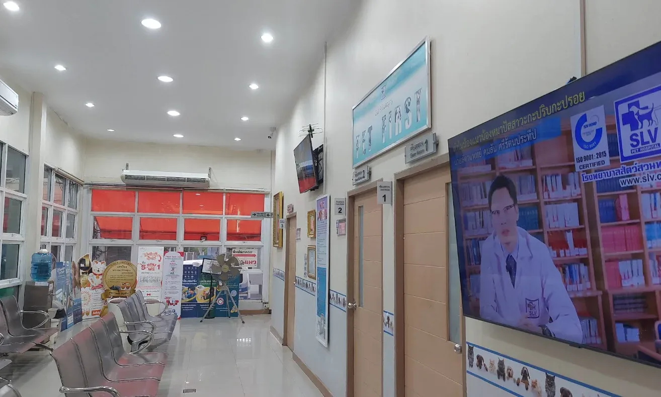 โรงพยาบาลสัตว์สวนหลวงสัตวแพทย์ (SLV) คลินิก-โรงพยาบาลสัตว์ กรุงเทพมหานคร 3