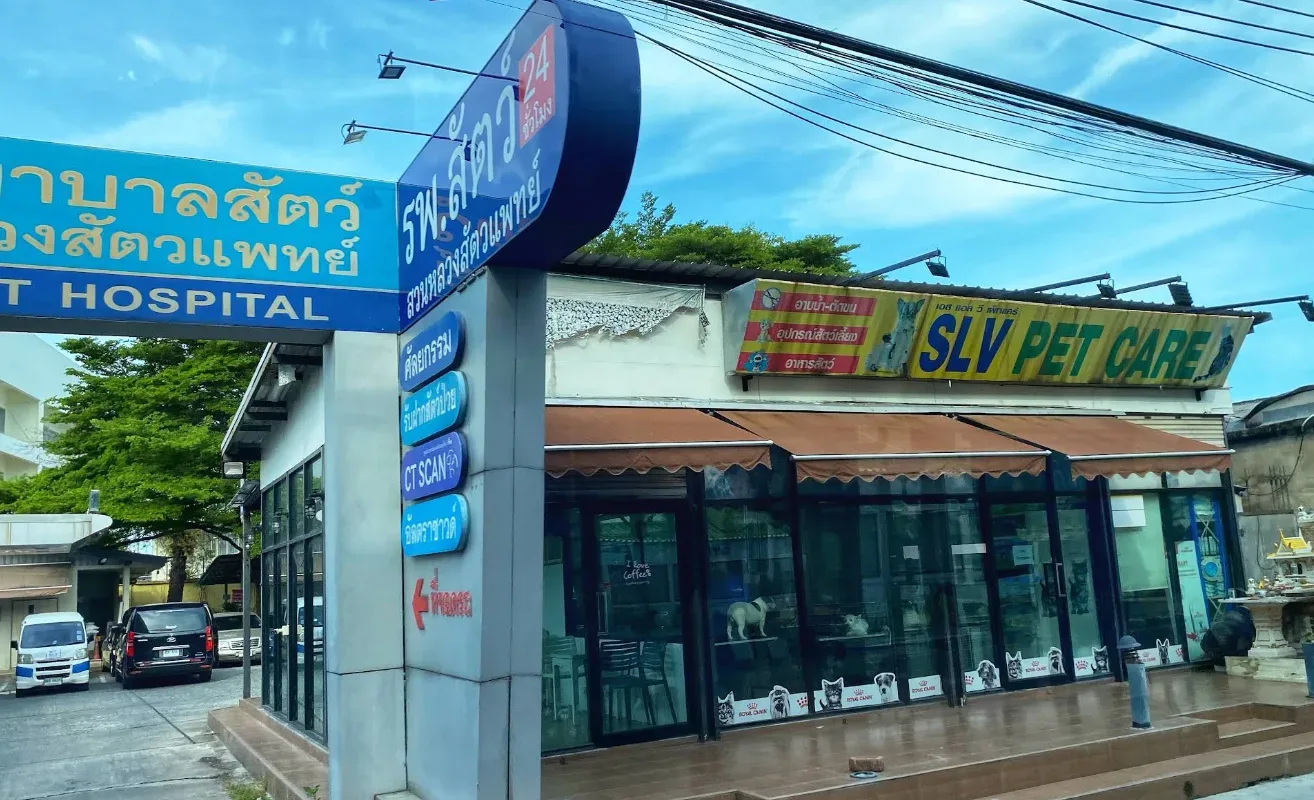 โรงพยาบาลสัตว์สวนหลวงสัตวแพทย์ (SLV) คลินิก-โรงพยาบาลสัตว์ กรุงเทพมหานคร 4