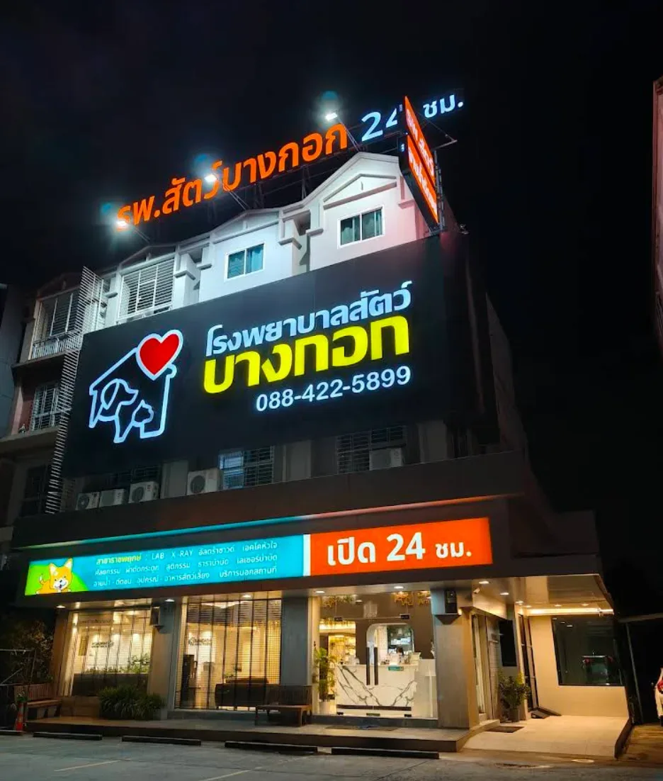 โรงพยาบาลสัตว์บางกอก คลินิก-โรงพยาบาลสัตว์ กรุงเทพมหานคร