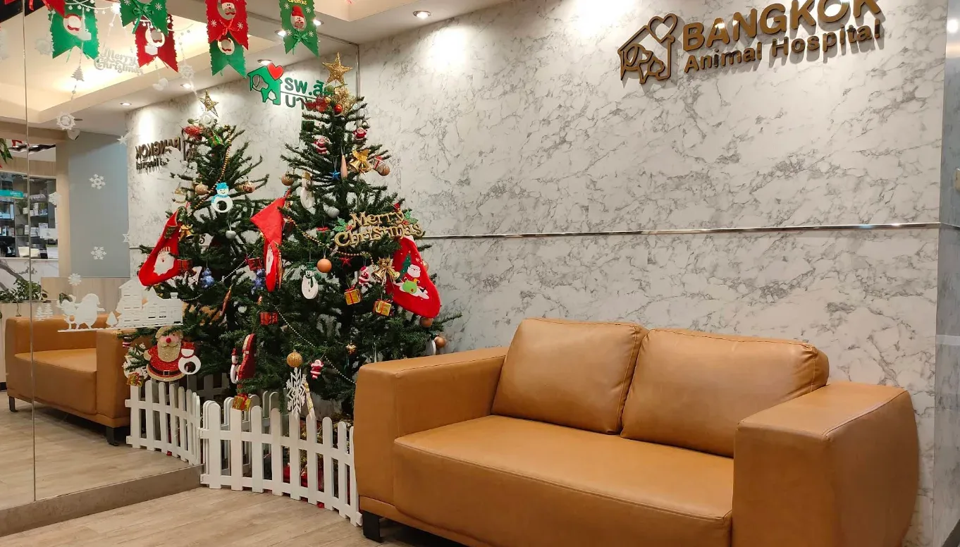 โรงพยาบาลสัตว์บางกอก คลินิก-โรงพยาบาลสัตว์ กรุงเทพมหานคร 2