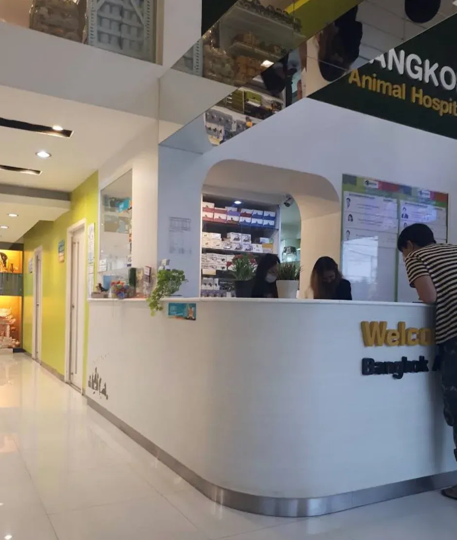 โรงพยาบาลสัตว์บางกอก คลินิก-โรงพยาบาลสัตว์ กรุงเทพมหานคร 4