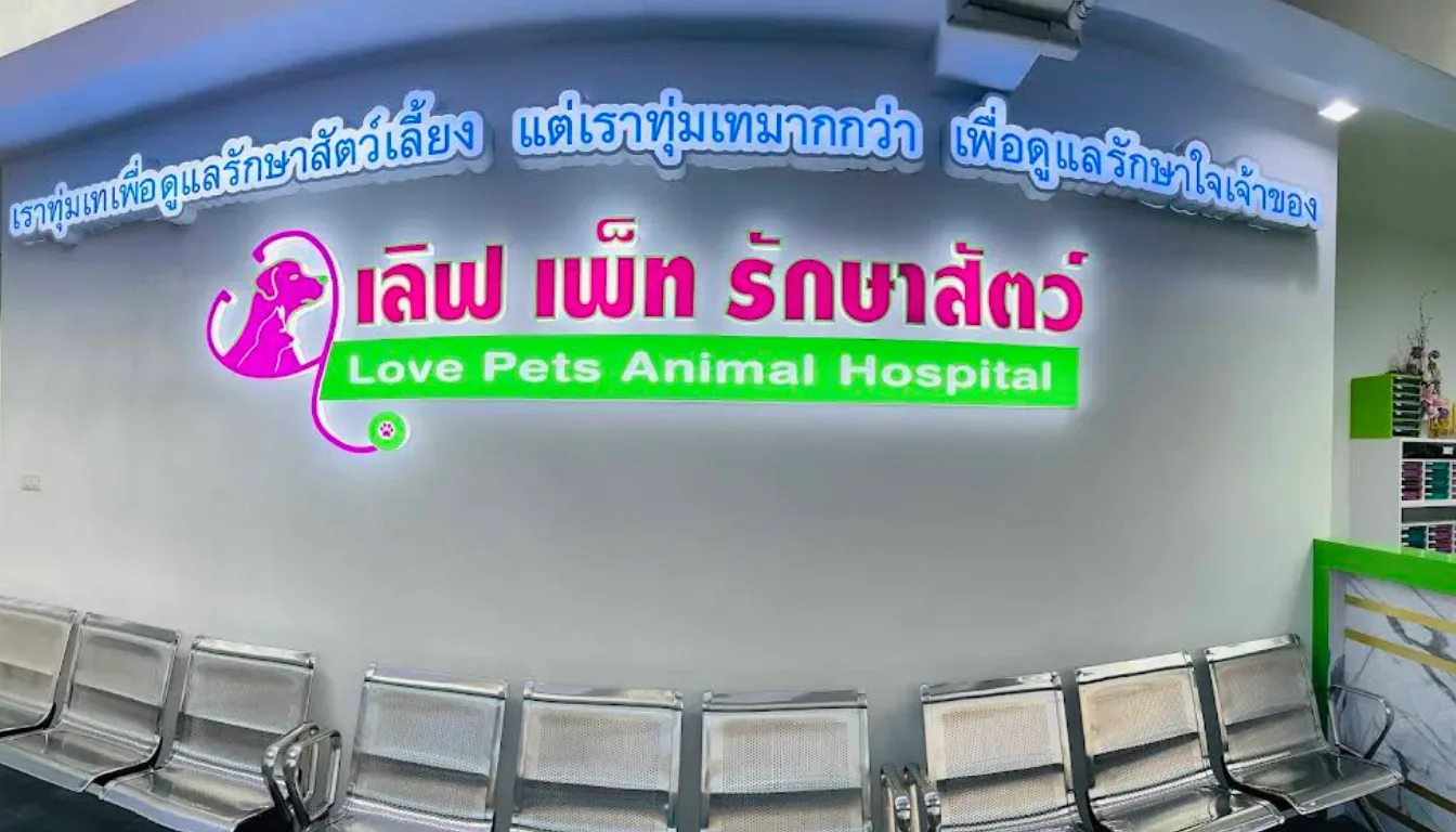 เลิฟเพ็ทรักษาสัตว์ คลินิก-โรงพยาบาลสัตว์ กรุงเทพมหานคร 2