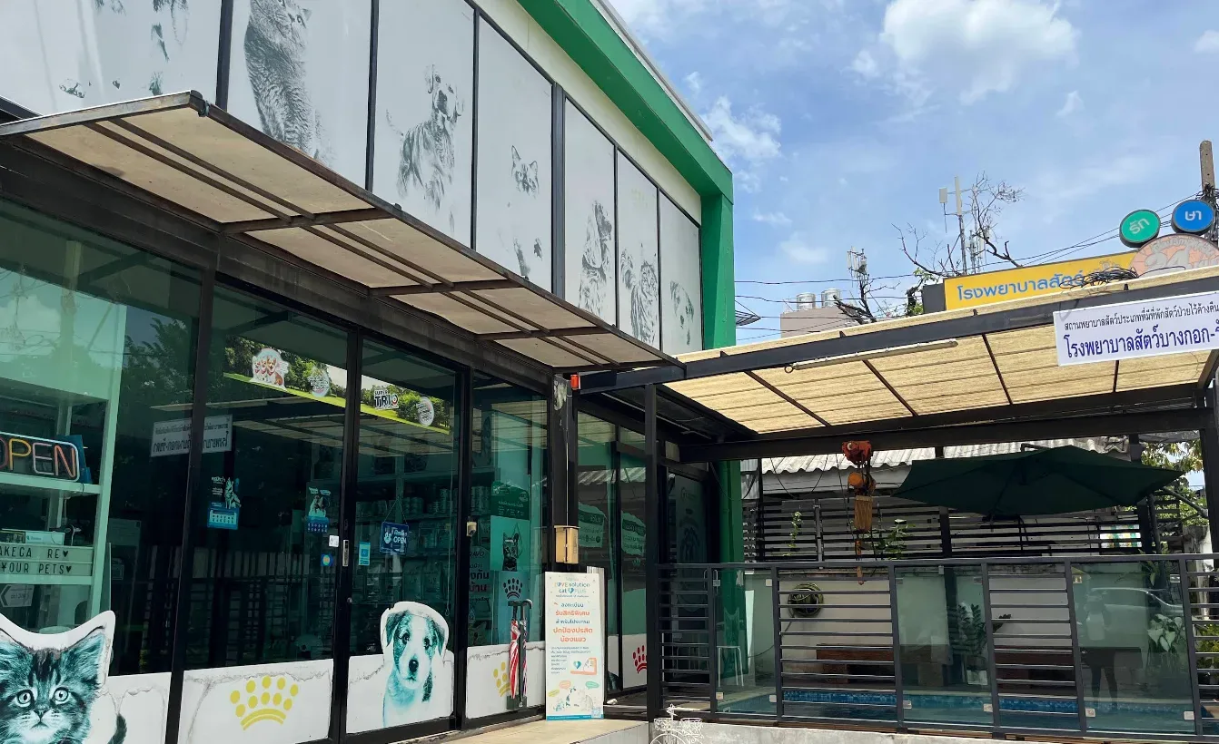 โรงพยาบาลสัตว์ บางกอก-รัชดา คลินิก-โรงพยาบาลสัตว์ กรุงเทพมหานคร
