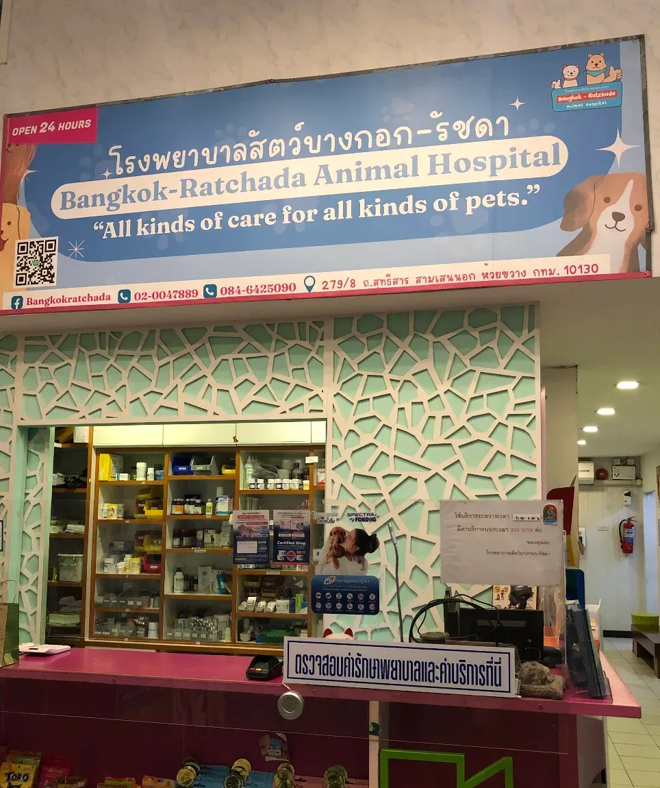 โรงพยาบาลสัตว์ บางกอก-รัชดา คลินิก-โรงพยาบาลสัตว์ กรุงเทพมหานคร 2