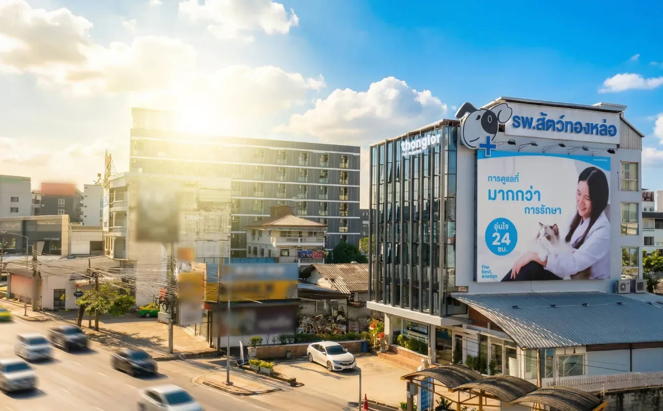 Thonglor Pet Hospital Ramintra โรงพยาบาลสัตว์ ทองหล่อ รามอินทรา คลินิก-โรงพยาบาลสัตว์ กรุงเทพมหานคร