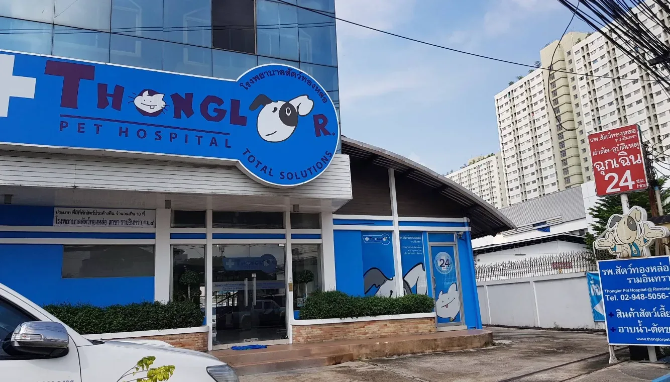 Thonglor Pet Hospital Ramintra โรงพยาบาลสัตว์ ทองหล่อ รามอินทรา คลินิก-โรงพยาบาลสัตว์ กรุงเทพมหานคร 2