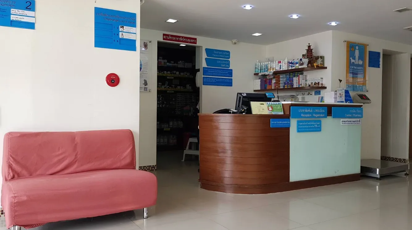 Thonglor Pet Hospital Ramintra โรงพยาบาลสัตว์ ทองหล่อ รามอินทรา คลินิก-โรงพยาบาลสัตว์ กรุงเทพมหานคร 4