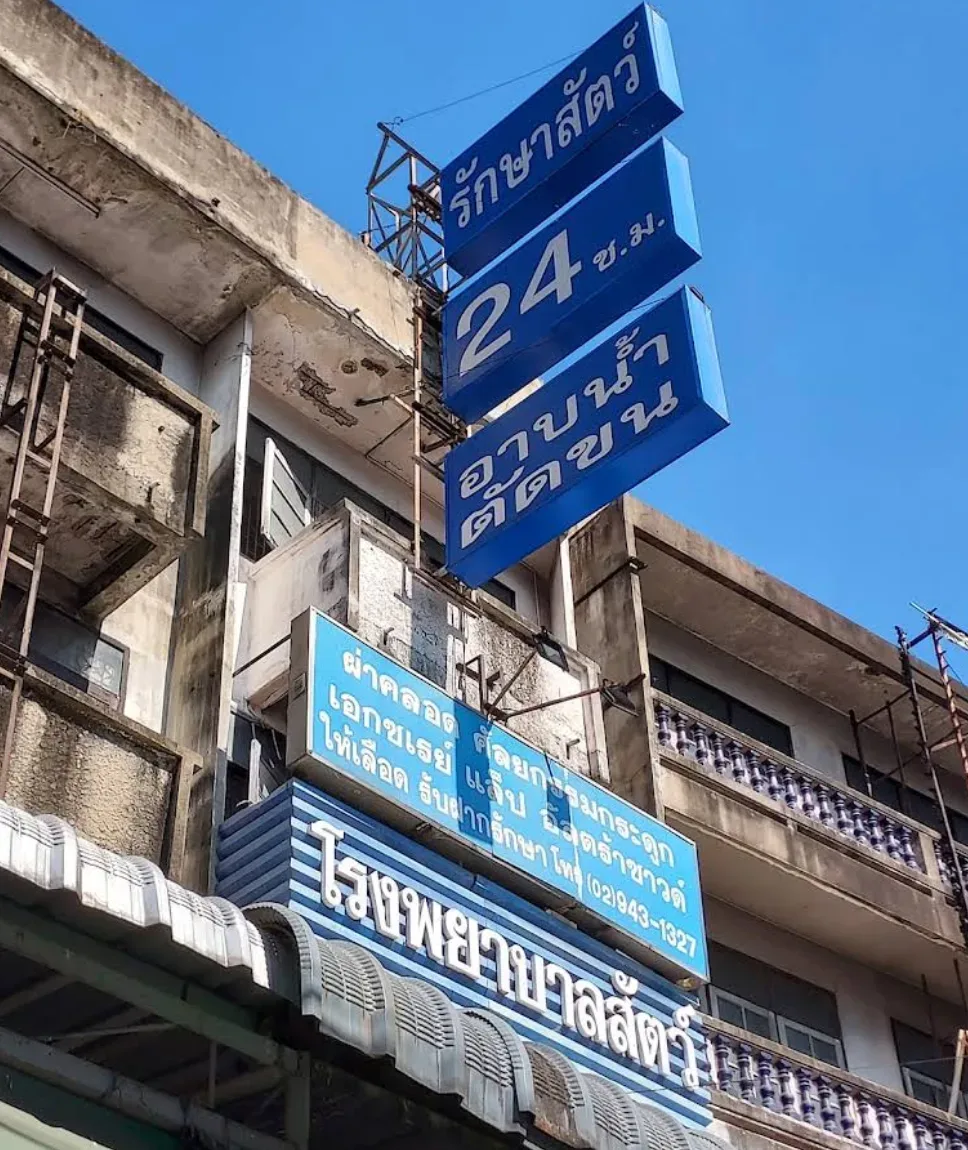 โรงพยาบาลสัตว์ กม. 8 คลินิก-โรงพยาบาลสัตว์ กรุงเทพมหานคร 3
