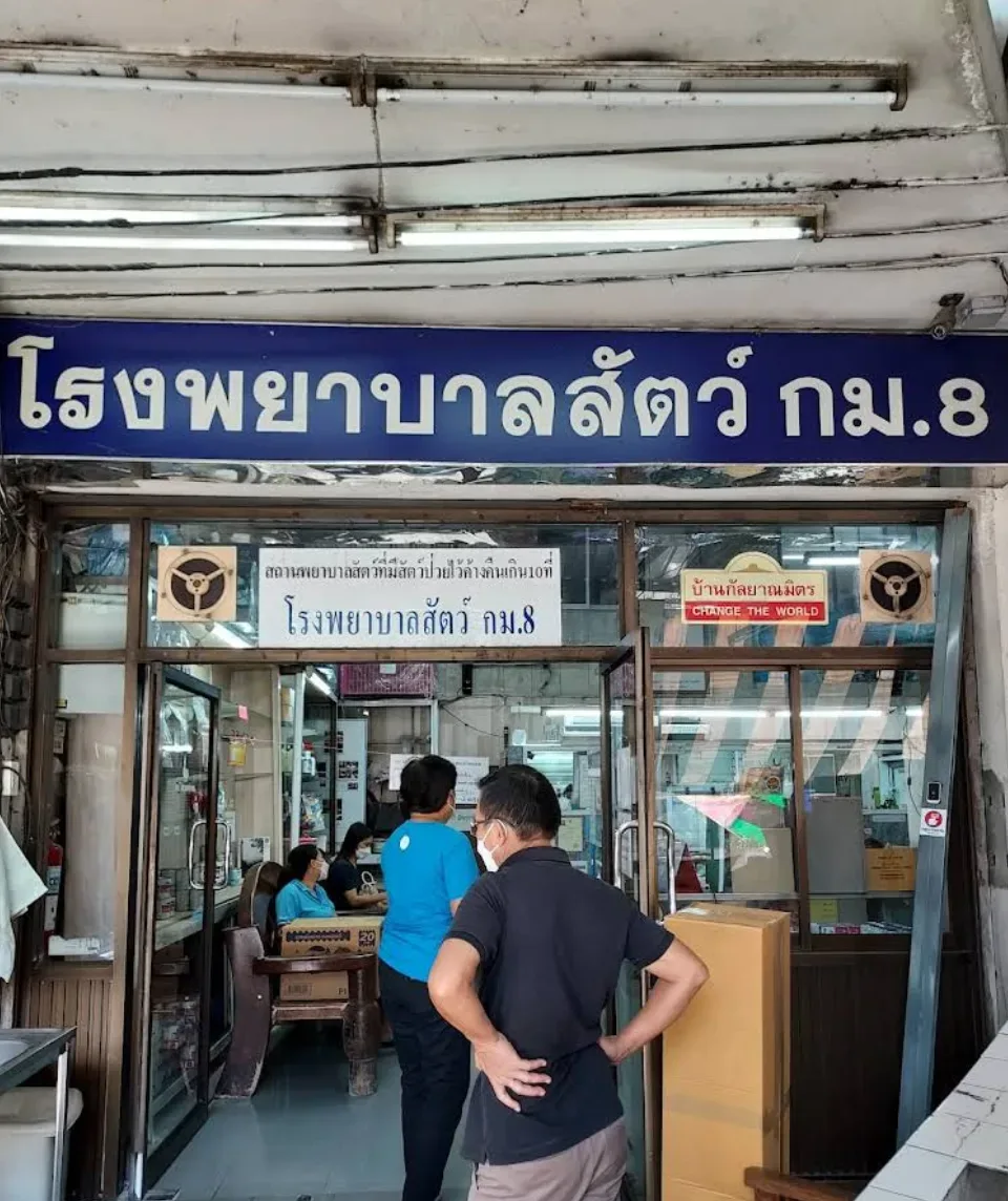 โรงพยาบาลสัตว์ กม. 8 คลินิก-โรงพยาบาลสัตว์ กรุงเทพมหานคร 5