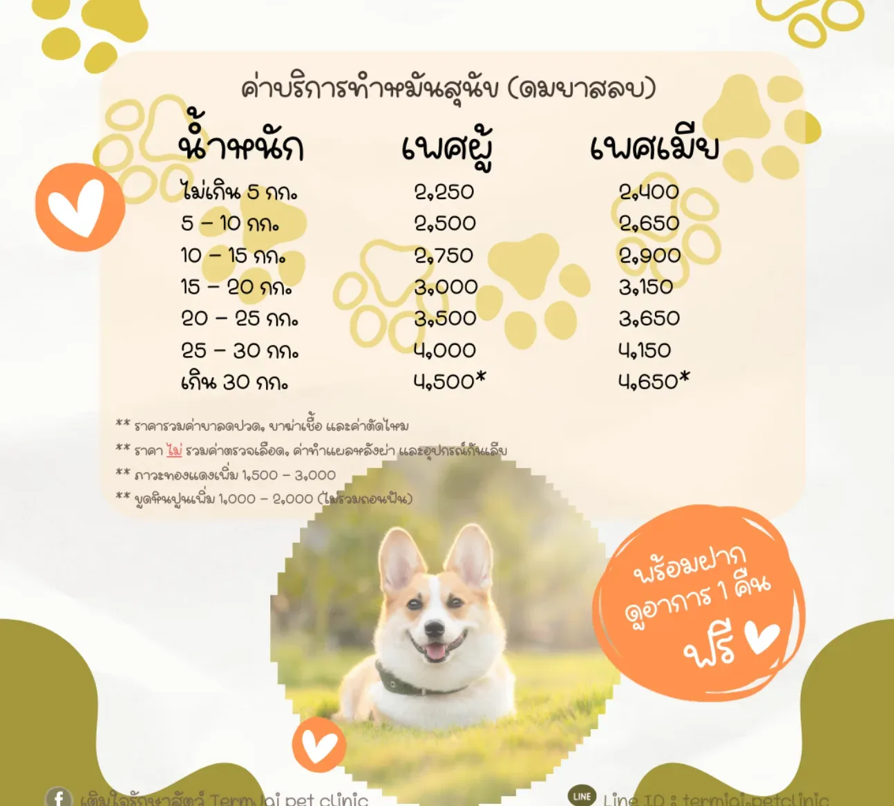 เติมใจรักษาสัตว์ คลินิก-โรงพยาบาลสัตว์ กรุงเทพมหานคร 6