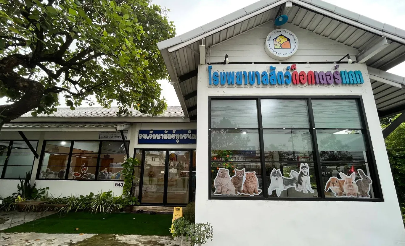 โรงพยาบาลสัตว์ด็อกเตอร์แคท คลินิก-โรงพยาบาลสัตว์ กรุงเทพมหานคร