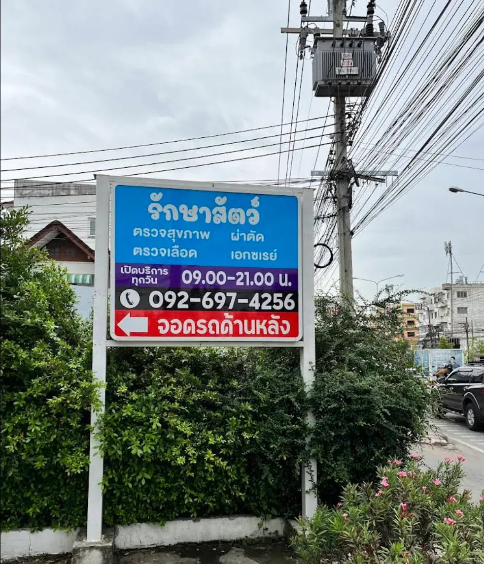 โรงพยาบาลสัตว์ด็อกเตอร์แคท คลินิก-โรงพยาบาลสัตว์ กรุงเทพมหานคร 3