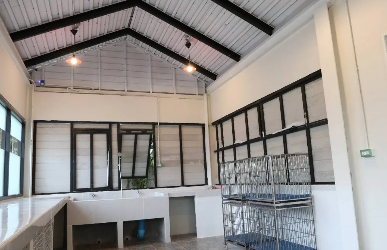 โรงพยาบาลสัตว์ด็อกเตอร์แคท คลินิก-โรงพยาบาลสัตว์ กรุงเทพมหานคร 4