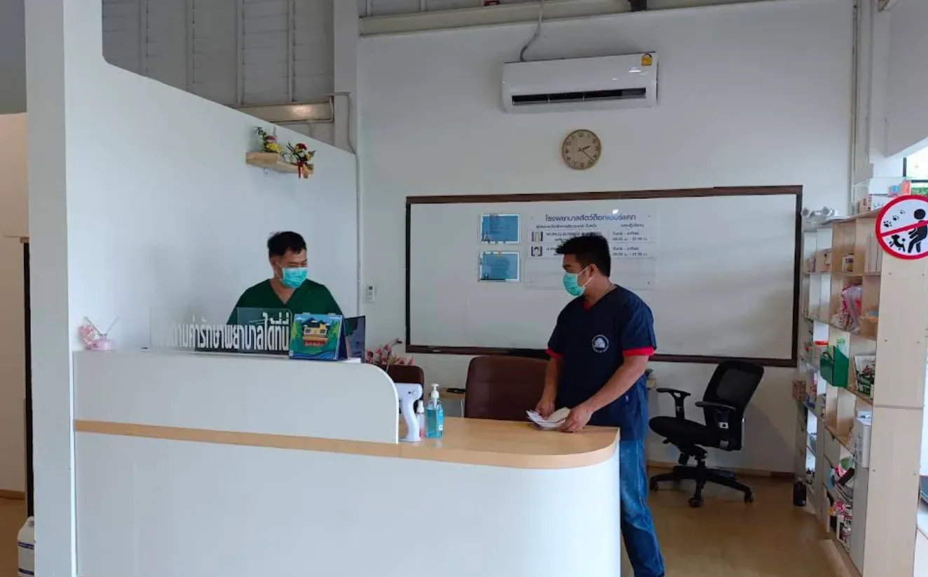 โรงพยาบาลสัตว์ด็อกเตอร์แคท คลินิก-โรงพยาบาลสัตว์ กรุงเทพมหานคร 5