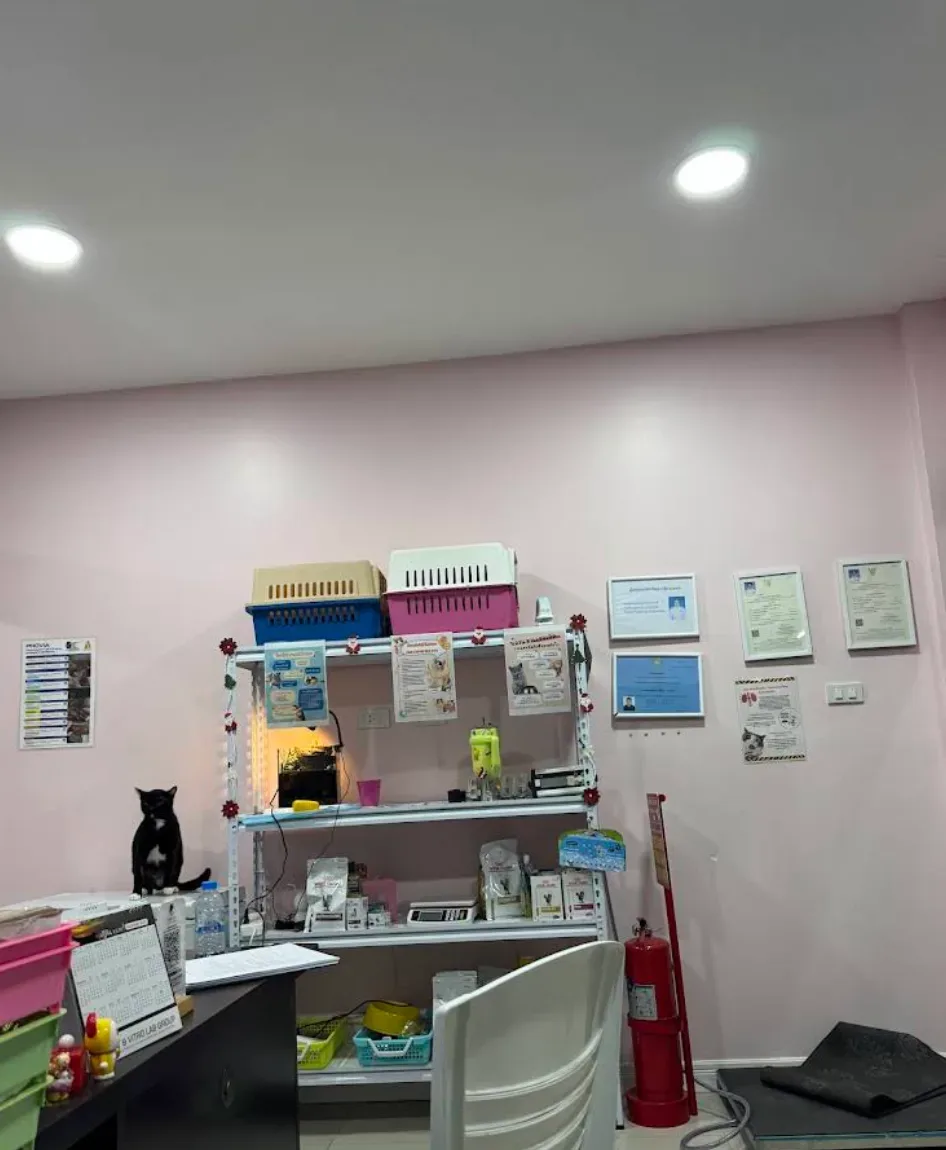 คลินิกสัตว์หมาแมวยิ้มหวาน สาขาหนองจอก คลินิก-โรงพยาบาลสัตว์ กรุงเทพมหานคร 4