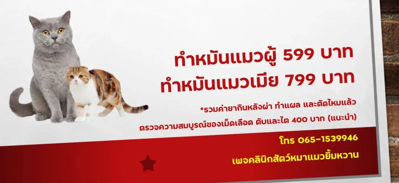 คลินิกสัตว์หมาแมวยิ้มหวาน สาขาหนองจอก คลินิก-โรงพยาบาลสัตว์ กรุงเทพมหานคร 5