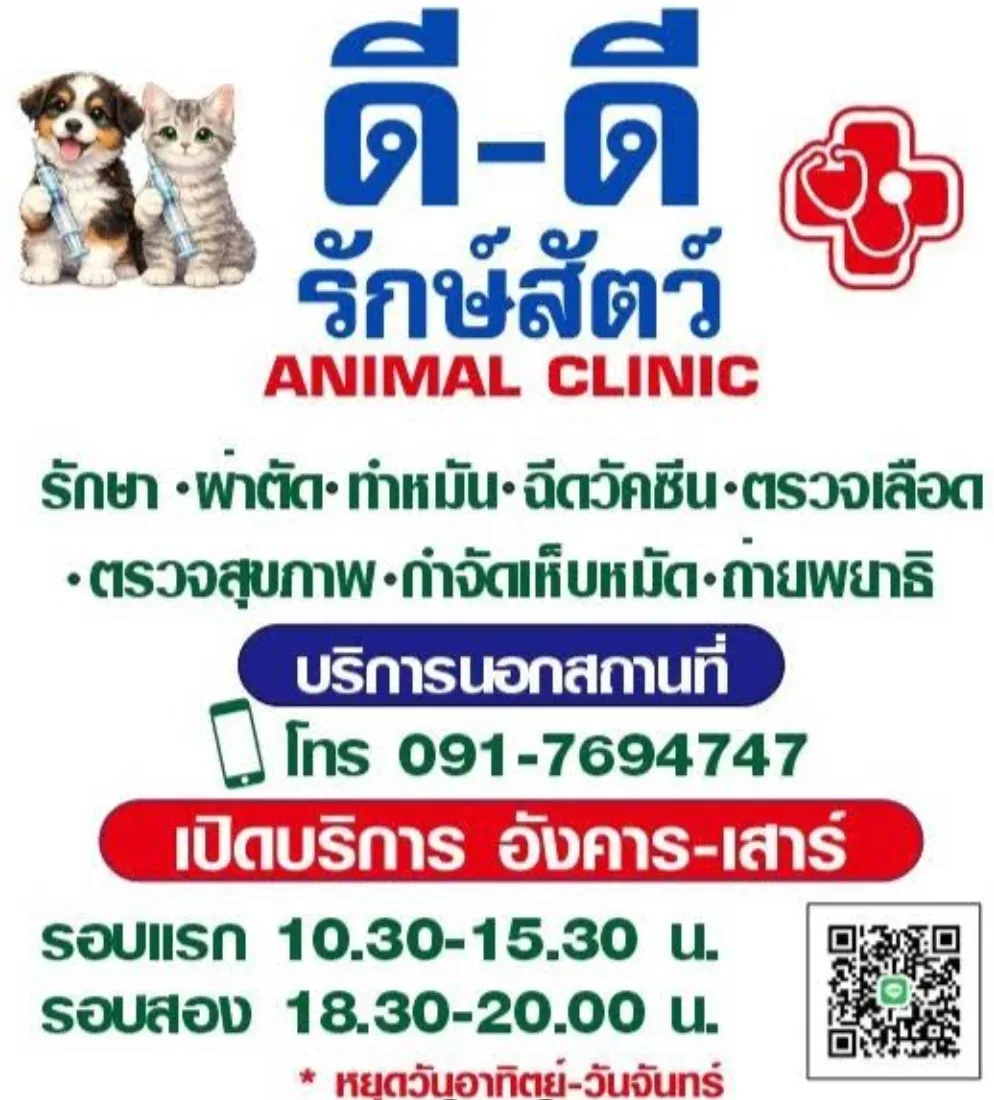 คลินิกดี-ดีรักษ์สัตว์ คลินิก-โรงพยาบาลสัตว์ กรุงเทพมหานคร 3