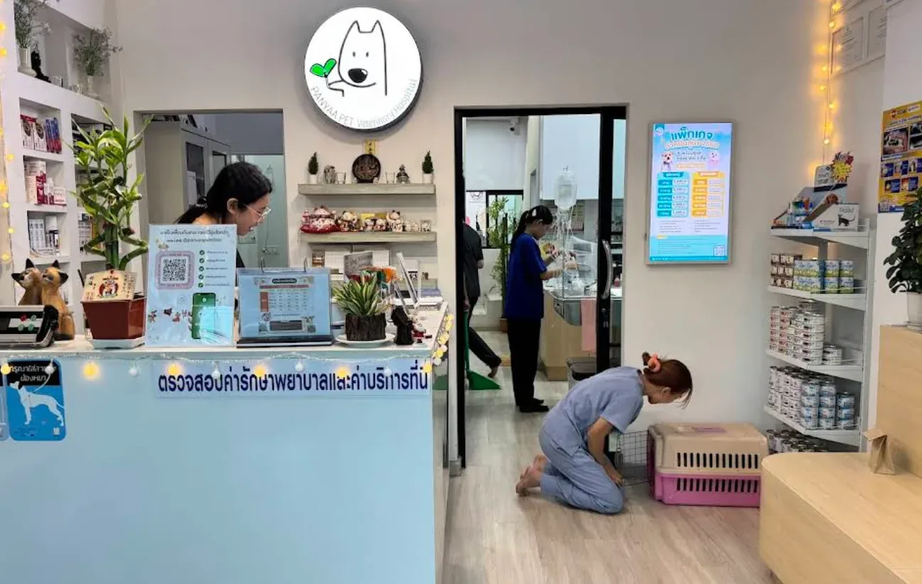 โรงพยาบาลสัตว์ ปันยาเพ็ท คลินิก-โรงพยาบาลสัตว์ กรุงเทพมหานคร 6