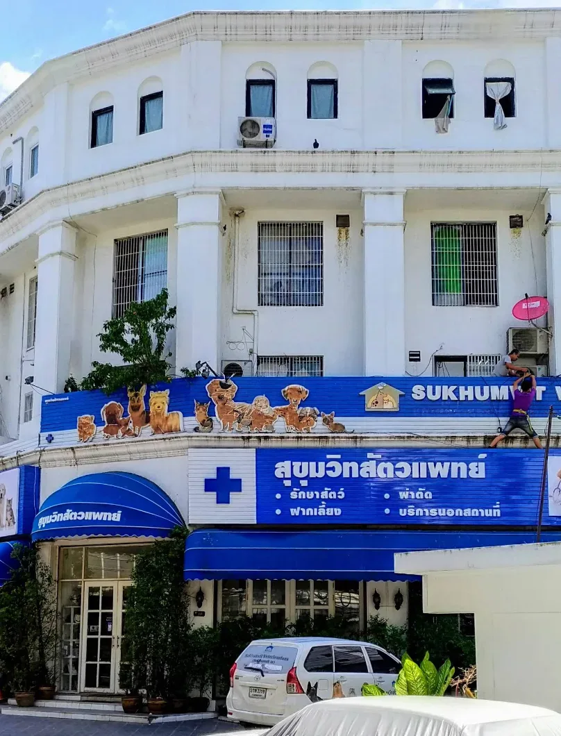 Sukhumvit Veterinarians คลินิก-โรงพยาบาลสัตว์ กรุงเทพมหานคร