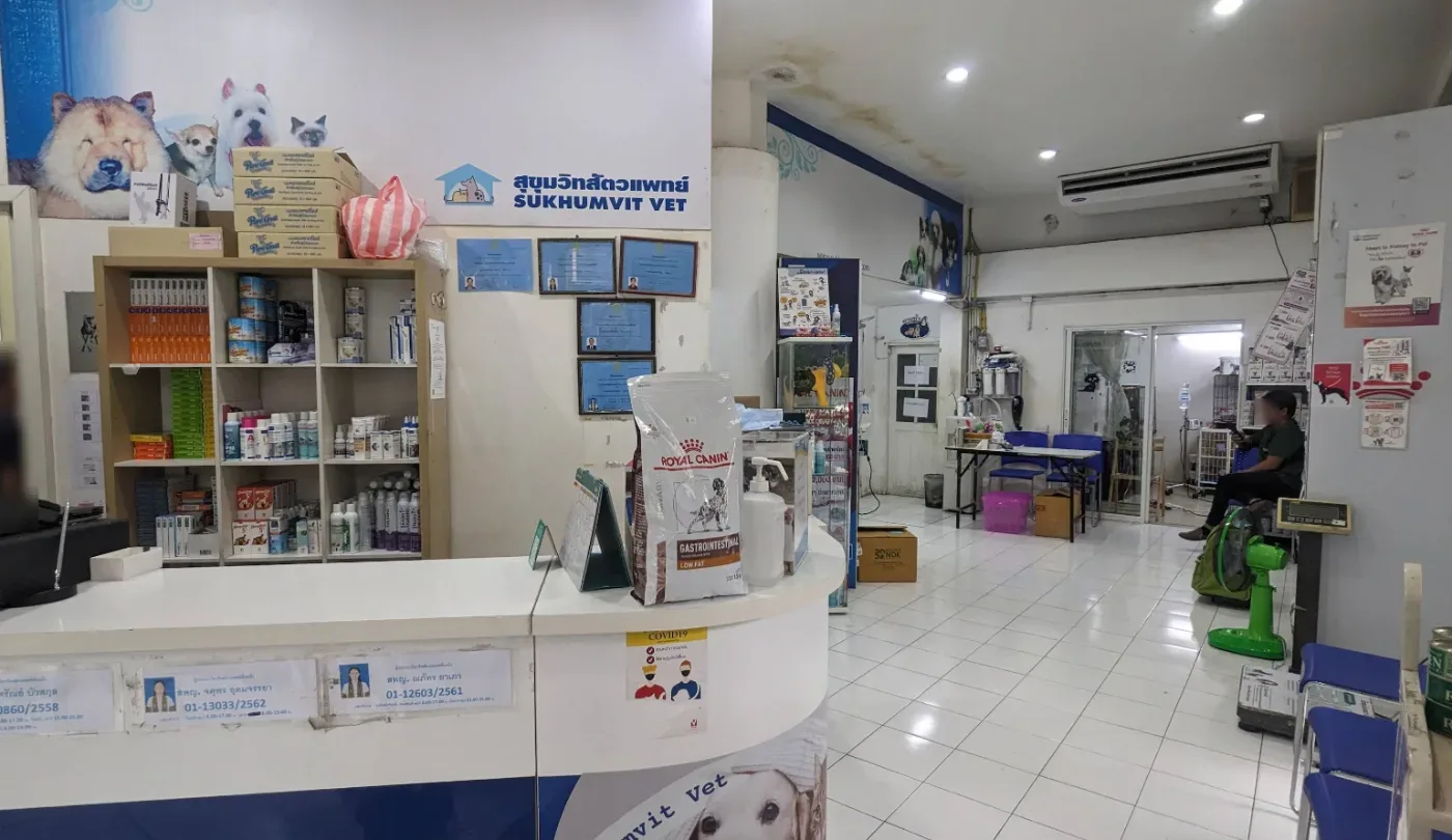 Sukhumvit Veterinarians คลินิก-โรงพยาบาลสัตว์ กรุงเทพมหานคร 2