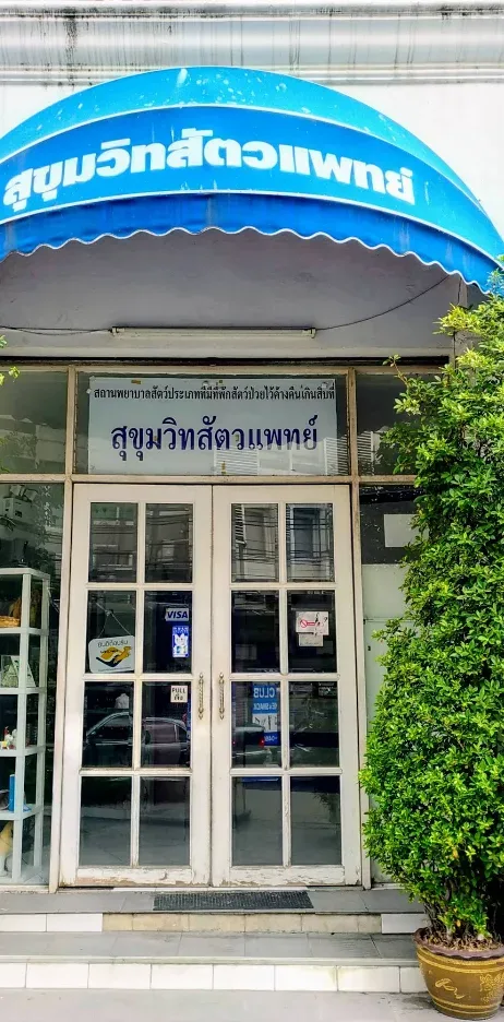 Sukhumvit Veterinarians คลินิก-โรงพยาบาลสัตว์ กรุงเทพมหานคร 3
